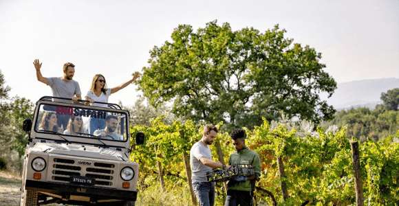 Montefalco: enosafari en jeep entre viñedos y degustación