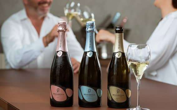 Franciacorta: Vineyard, Winery, and Edea To Tasting
