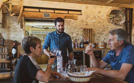 Desde Verona: Visita a las bodegas de Valpolicella con vendimias de Amarone