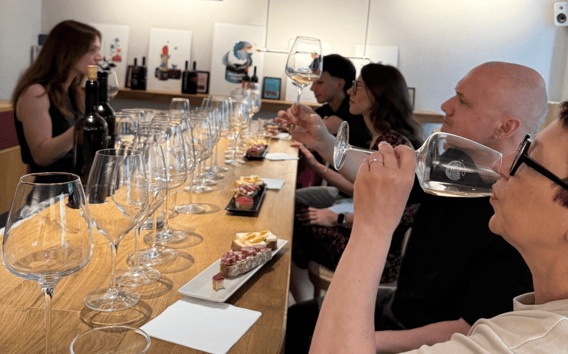 Cata de vinos en el centro de Trieste con aceites y maridaje