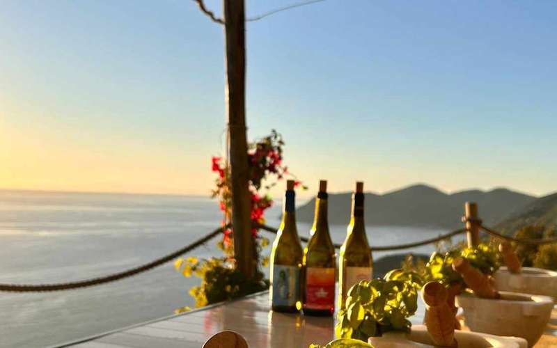 Volastra: BarCa Weinverkostung in Cinque Terre und Pesto-Kurs