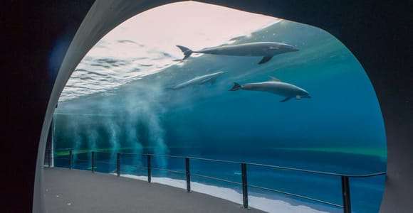 Gênes : Aquarium et FantaCinema Billet combiné