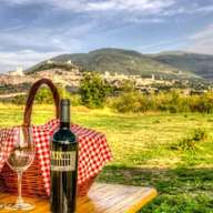 Pique-nique et dégustation de vins à Assise, vignes SAIO