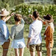 Taormina: Excursão guiada de meio dia para degustação de vinhos do Etna