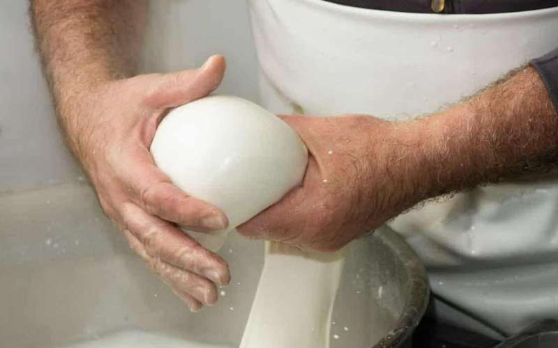 Puglia: Mozzarella ervaring op een Apulische boerderij