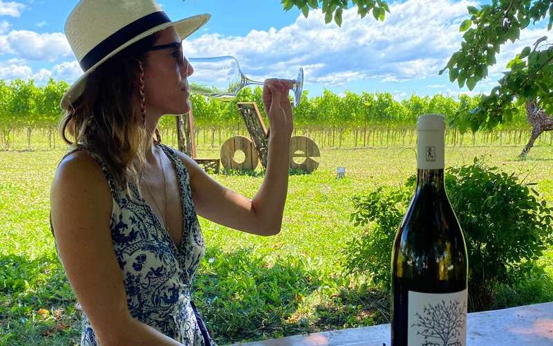 Grado: Winery Tour and Tasting
