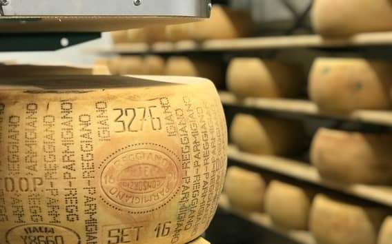 Parma: Tour e degustazione di Parmigiano-Reggiano