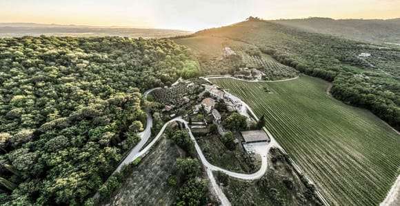 Trasimeno: Weinerlebnis in Montemelino entdecken