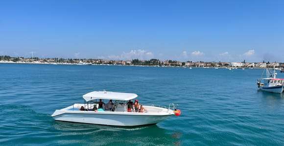 Umag : Tour en bateau pour la plongée avec tuba et l'observation des dauphins le matin