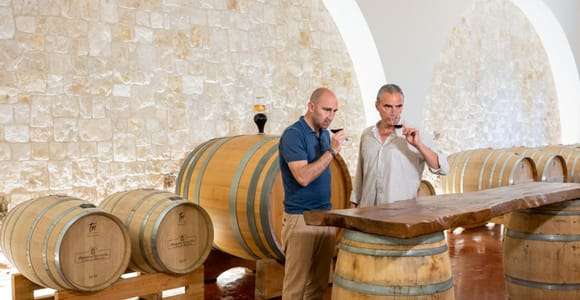 Alberobello: Visita a Bodegas con Degustación de Vinos y Gastronomía