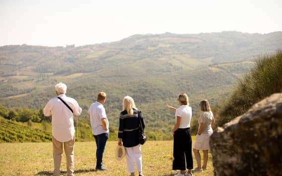 Visite de cave à Montalcino : vignes biodynamiques et 6 vins