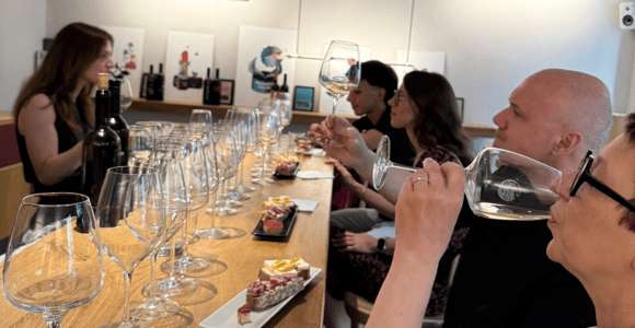 Wine Tasting with Food Pairings in Trieste City Center