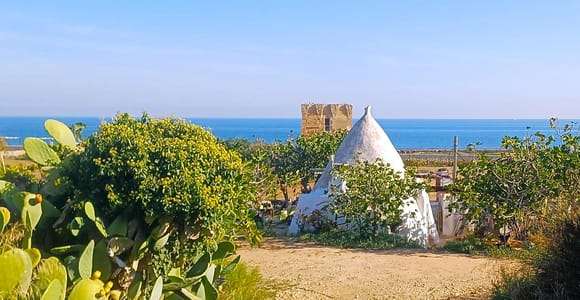 Ab Bari: Polignano Alberobello Matera und mehr Tour
