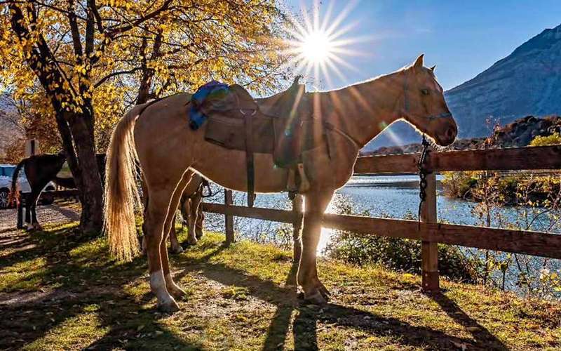 Trento: horseback ride along the traces of ancient Romans