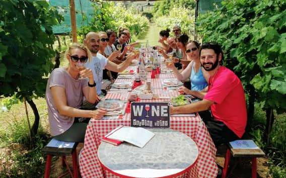 Lucca: Visita guiada en bicicleta eléctrica y vino