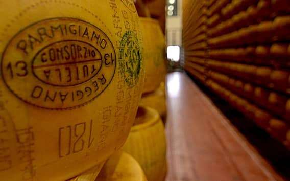 Reggio Emilia: tour e degustazione di Parmigiano Reggiano