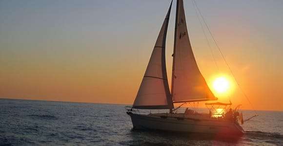 Bari: Crucero de medio día en velero para buscar delfines con merienda