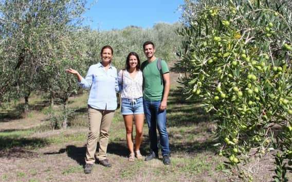 Visita a una almazara cerca de Pésaro con cata de aceites