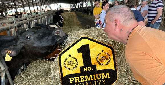 Modena: Privat rundtur med ekologisk Parmigiano Reggiano och provsmakning