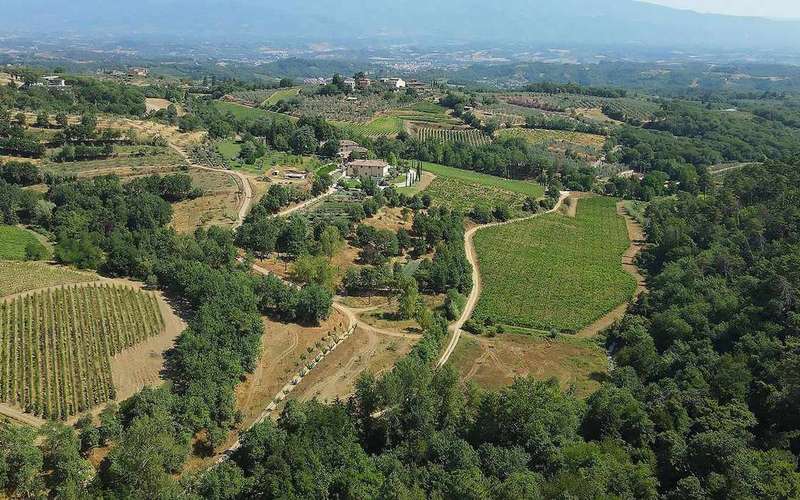 Biodinamikus borászati túra Arezzo közelében, négy boros kóstolóval