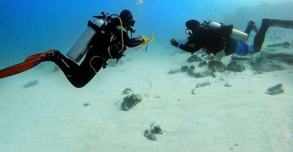 Expérience de plongée sous-marine à Porto Cesareo