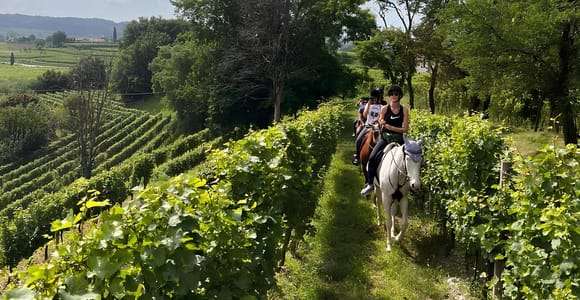 Franciacorta: Ausritt durch Weinberge und Dörfer