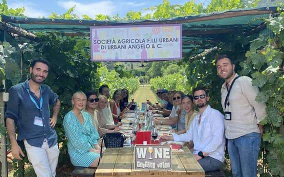 Tour del Vino de la Toscana en lanzadera desde Lucca