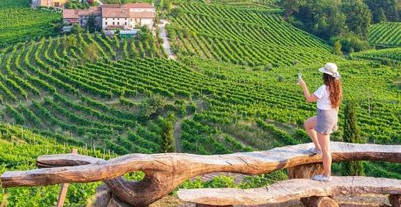 Desde Venecia :Tour enogastronómico por las Colinas del Prosecco