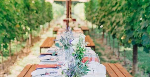 San Gimignano: Cena romántica en un viñedo