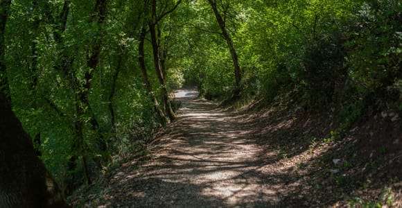 Assise : Billet d'entrée au Bosco di San Francesco