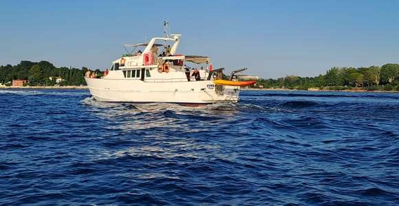 Umag : Croisière au coucher du soleil avec observation des dauphins