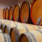 Vinařská prohlídka Montalcino ze Sieny: Brunello a opatství