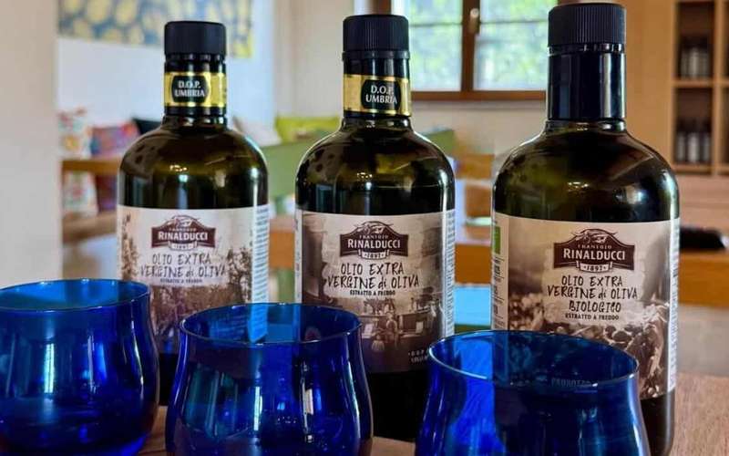 Degustace extra panenského olivového oleje v Umbrii: Pozzo