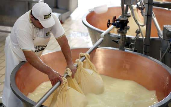 Tour in fattoria del Parmigiano Reggiano da Parma