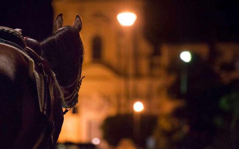 Palermo kísérteties és bűnügyi sétatúra utcai ételekkel