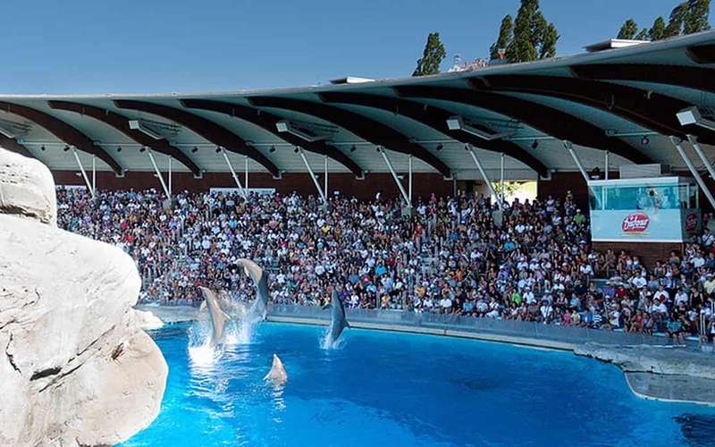 Oltremare Riccione ticket: dolfijnen, roofvogels en regenwoud