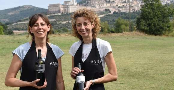 Déjeuner et dégustation de 5 vins + promenade dans les vignobles panoramiques