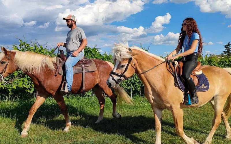 Passeggiata a cavallo sul Lago di Garda tra vigneti