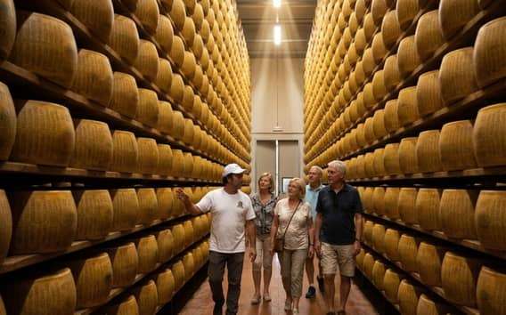 Tour e degustazione di Parmigiano vicino a Parma e Reggio