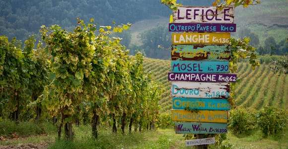 Oltrepò Pavese: Spaziergang im Weinberg und Weinprobe, nur 1 Stunde von Mailand entfernt
