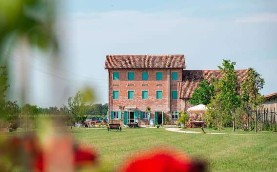 Jesolo: Genieße ein önogastronomisches Erlebnis mit lokalen Weinen und Produkten