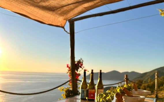 Volastra: BarCa degustace vína v Cinque Terre a kurz pesta