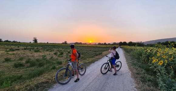 Le vélo WINEdering : Visite privée à vélo et dégustation de vins