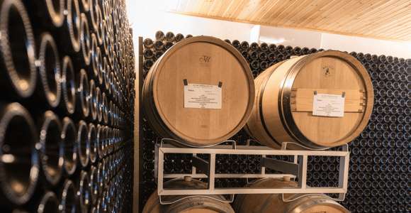 Besuch eines Bio-Weinguts & Weinverkostung mit Essen in Pavia