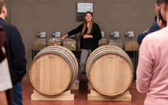 Visita in cantina con degustazione di vini sui colli di Parma
