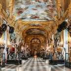 Visita al Palazzo Reale di Torino con guida e Armeria