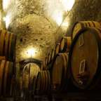 Cata de vino y tour de una bodega en Montepulciano