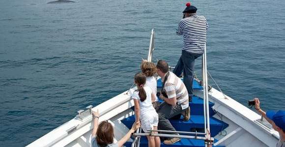 Aquarium de Gênes : billet et croisière aux baleines