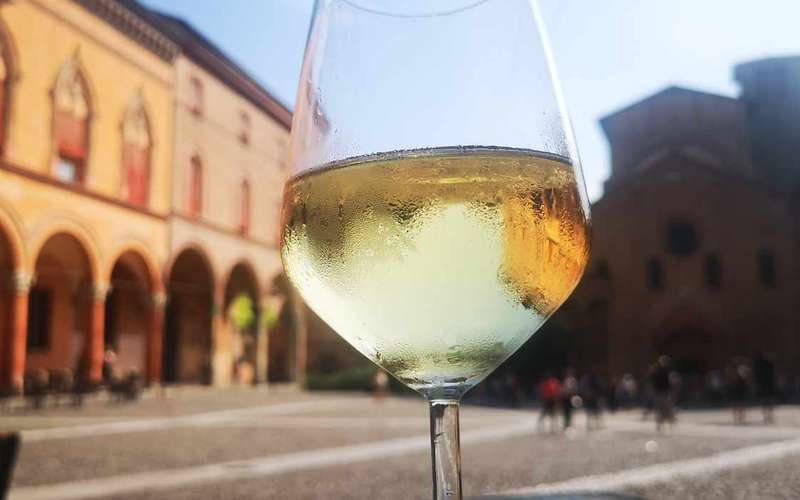 Borkóstoló túra Bolognában: Colli Bolognesi-borozók