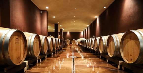 Lake Garda: Wine Tour and Tasting Experience in Bardolino